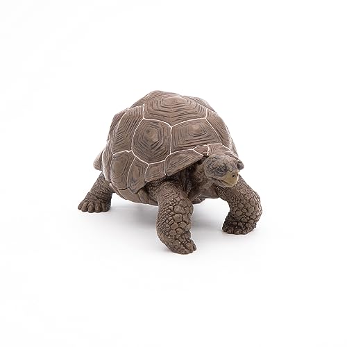 Papo Galapagos Tortoise Toy Figure - Image 5