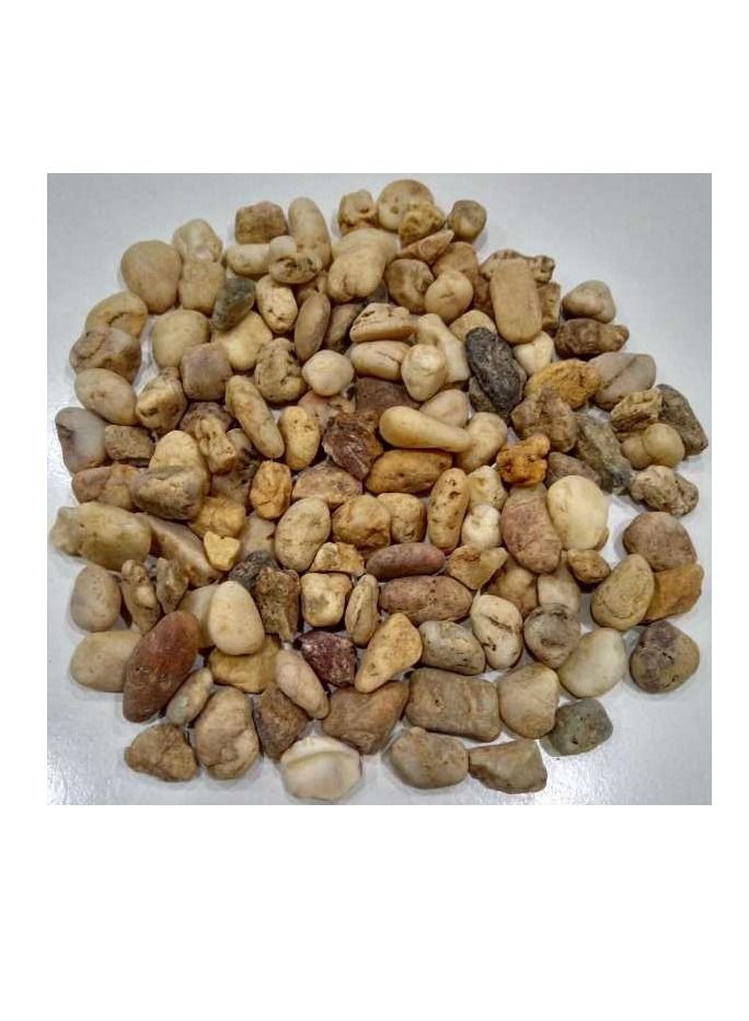 Natural Color Aquarium Fish Tank Decoration Stones 9-12Mm Multicolor