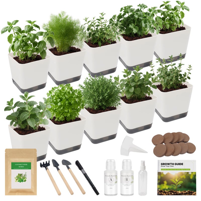TitaniX 10-Set Indoor Herb Garden Starter Kit  7 Seeds Growing Into Basil  Parsley  Thyme  Mint  Cilantro  Dill  Oregano Including 10 White Pots  Markers  Nutritional Soil  Ideal Christmas Gifts For Women - Image 1