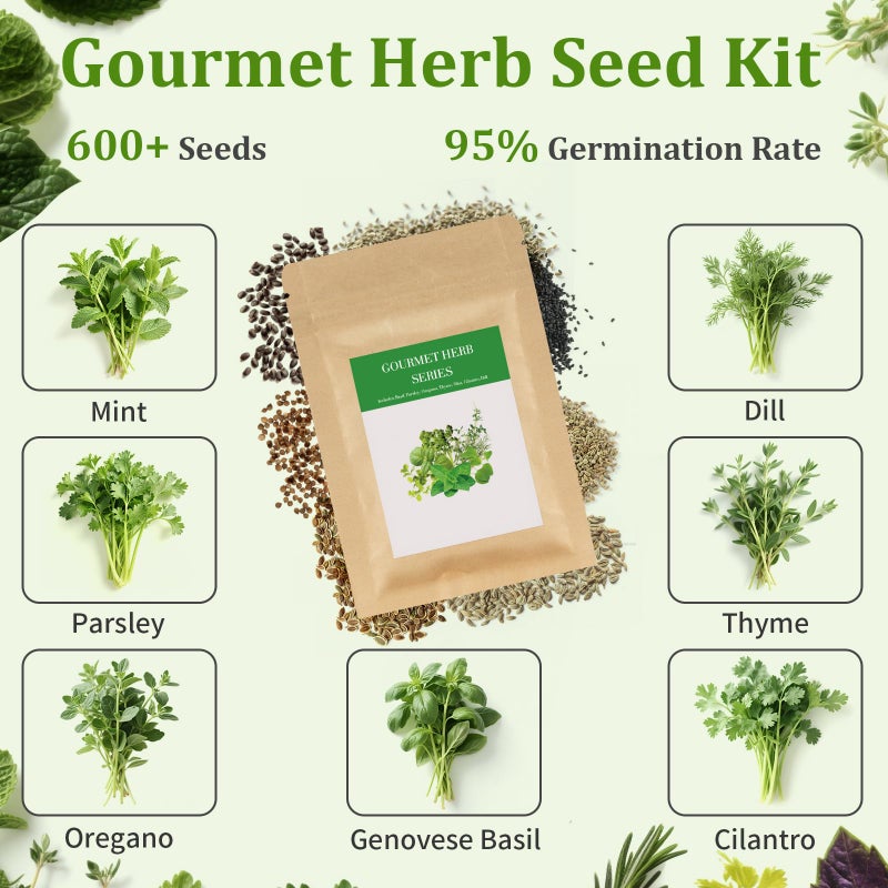 TitaniX 10-Set Indoor Herb Garden Starter Kit  7 Seeds Growing Into Basil  Parsley  Thyme  Mint  Cilantro  Dill  Oregano Including 10 White Pots  Markers  Nutritional Soil  Ideal Christmas Gifts For Women - Image 3