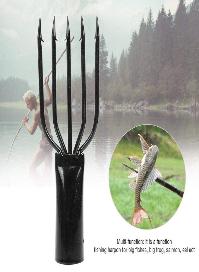 ZERONE Fishing Frog Gig Spear, Fishing, Stainless Steel Fishing Fork for Fishing(5 Prong) - Image 5