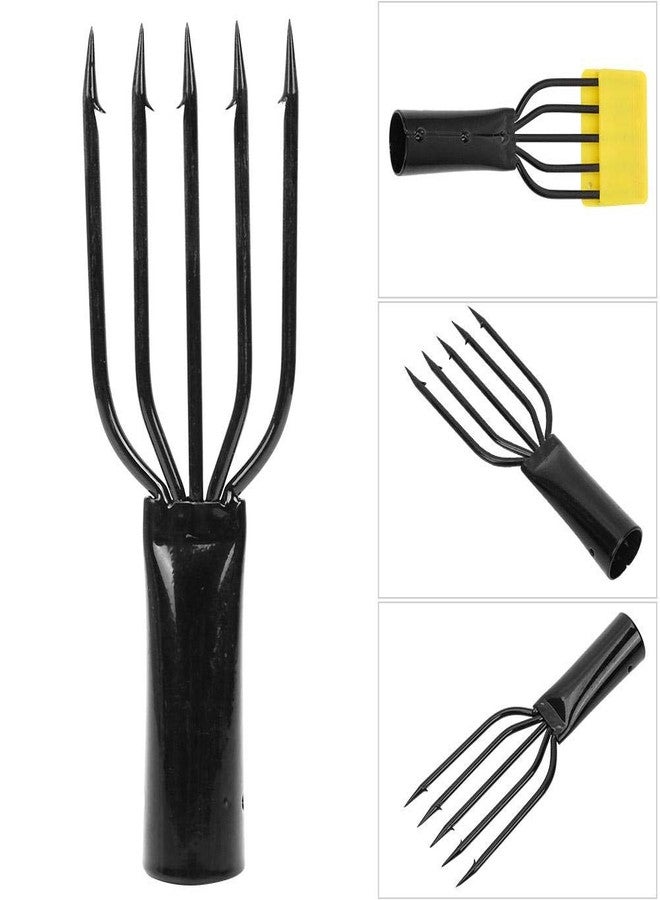 ZERONE Fishing Frog Gig Spear, Fishing, Stainless Steel Fishing Fork for Fishing(5 Prong) - Image 4