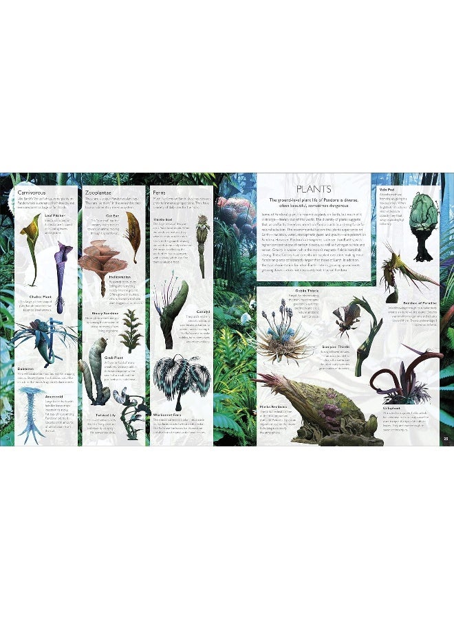 The World of Avatar: A Visual Exploration - Image 5