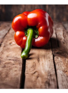 GROW colored peppers - Al Fajr  seeds 