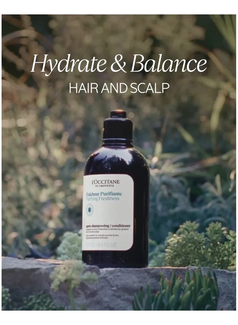 L'occitane Purifying Freshness Conditioner