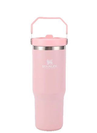 Stanley 30oz Stainless Steel Tumbler - Vacuum Insulated Water Bottle for Home, Office or Car Reusable Cup with Straw Leak Resistant Flip Cold for 12 Hours or Iced for 2 Days, 30oz - pzsku/Z514527674D69DC147081Z/45/1742379997/2536f3d3-f18c-4ffd-ba35-48546d724a48