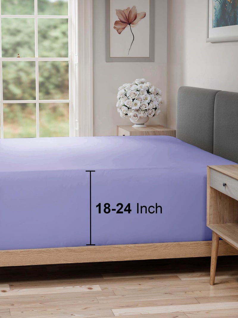 CGK Unlimited Extra Deep King Fitted Sheet  Hotel Luxury Single Fitted Sheet Only  Easily Fits 18 inch to 24 inch Mattress  Ultra Soft Wrinkle  Fade Free wExtra Deep Pockets  Breathable  Comfy  Lavender