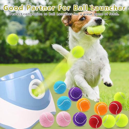 Magicorange Small Tennis Balls, 20 Pack 2 inch Tennis Balls for Dogs, Colorful Easy Catching Pet Dog Playing Ball with Mesh Bag for Easy Transport(Multicolor, 2 inch) - Image 5
