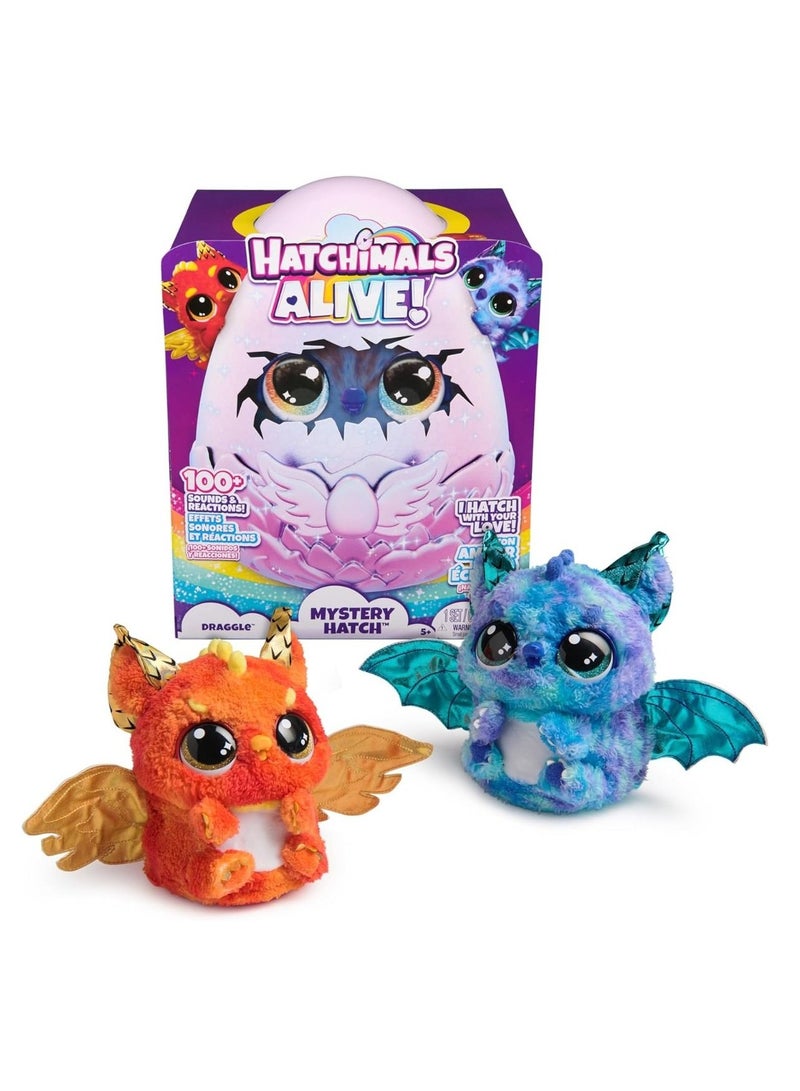 Hatchimals Alive Secret Draggle 6072544 - 1 Piece Only, Assorted/Style May Vary - Image 1