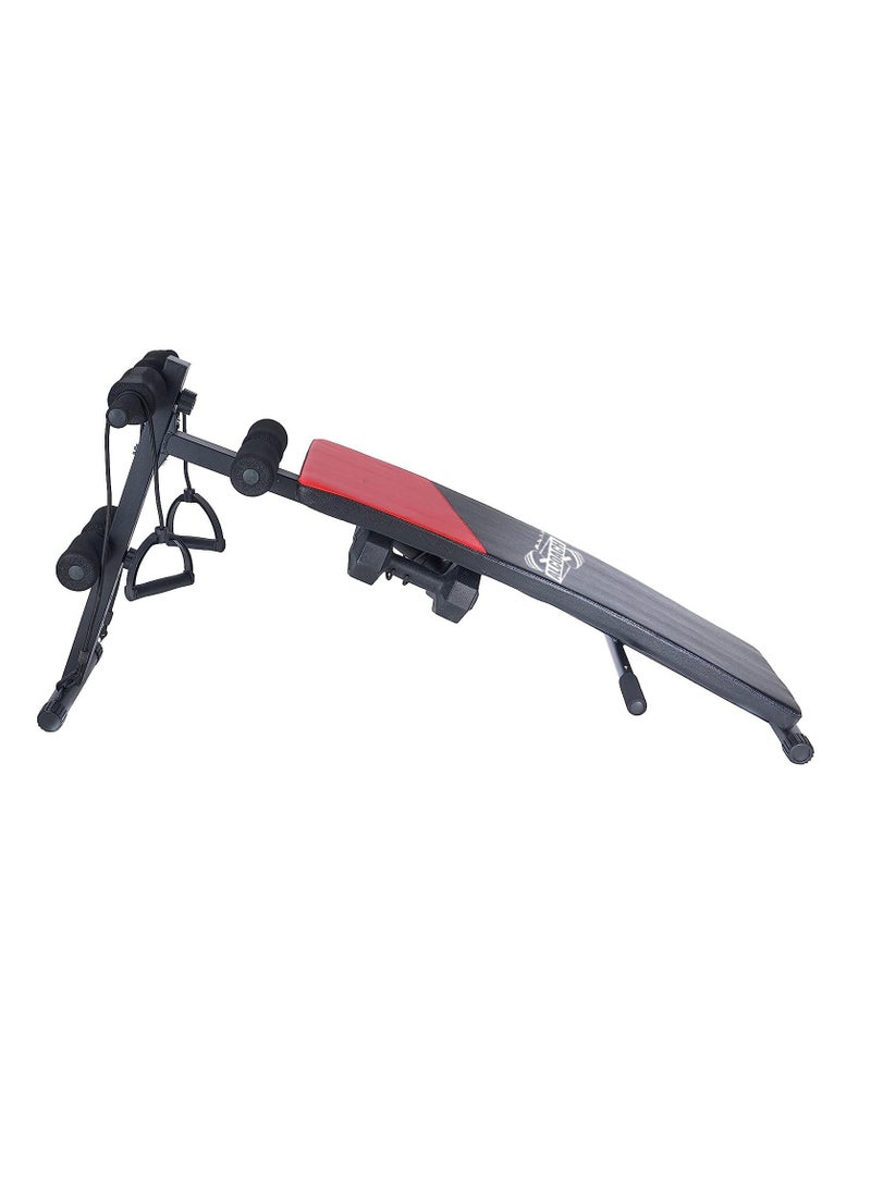 ALCOACH - Adjustable fitness bench for abdominal exercises and fitness with Dumbbell - Image 1