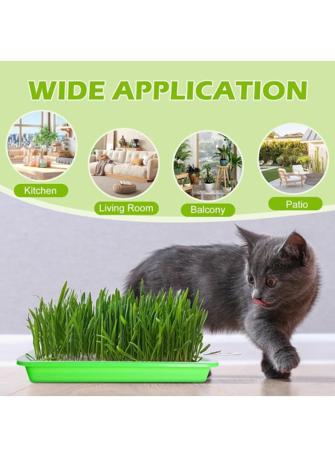 5 مجموعات من صواني إنبات البذور مع فتحات تصريف، تتضمن مجموعة زراعة البراعم صواني الإنبات والتكاثر وزجاجة رذاذ ورقية للإنبات ونباتات صغيرة وصواني زراعة للحديقة والمنزل والمكتب - Image 5