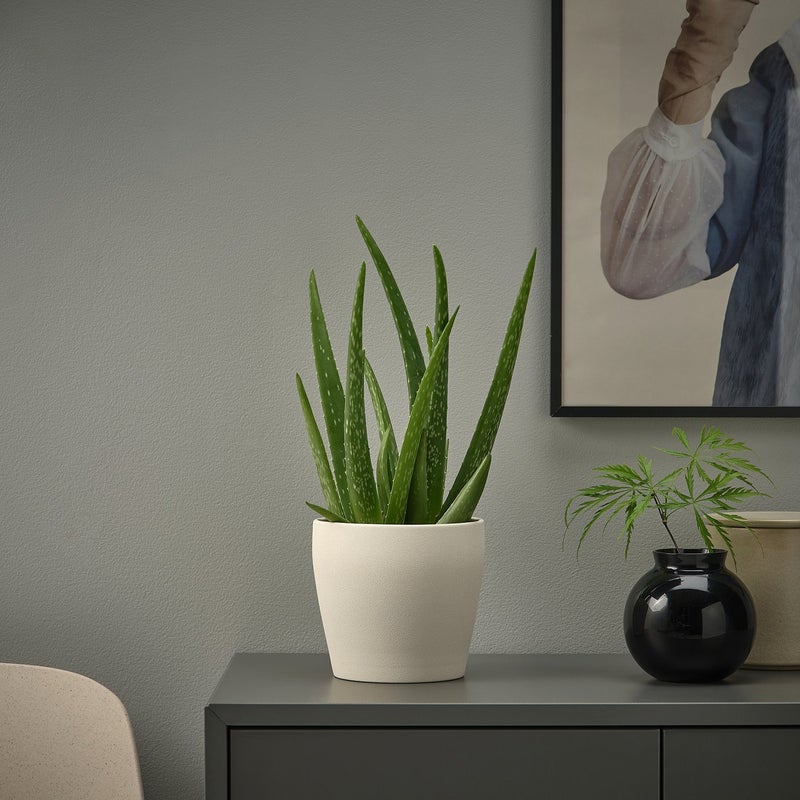 Baitique Earthenware Indoor Plant Pot, Light Beige, 12 cm - Image 4