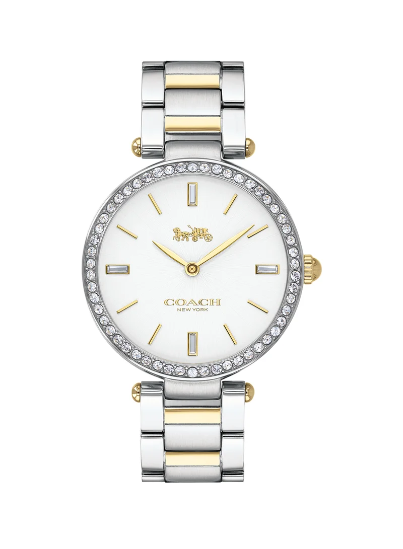 COACH Park Watch