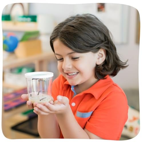 Insect Lore مجموعة حديقة الفراشات من إنسيكت لور - 10 يرقات حية، موطن، مجلة STEM، 2 جذوع شجرة Chrys-a-lid وحامل - ازرع وأطلق فراشات السيدة المطلية - لعبة تعليمية علمية - Image 5