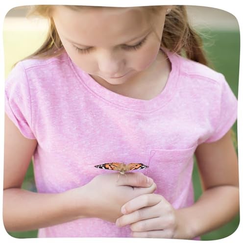 Insect Lore مجموعة حديقة الفراشات من إنسيكت لور - 10 يرقات حية، موطن، مجلة STEM، 2 جذوع شجرة Chrys-a-lid وحامل - ازرع وأطلق فراشات السيدة المطلية - لعبة تعليمية علمية - Image 4