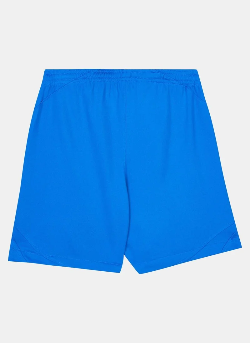 Nike Kids' F.C. Barcelona Dri-FIT Stadium Away Football Shorts - 2023/24 (Older Kids)