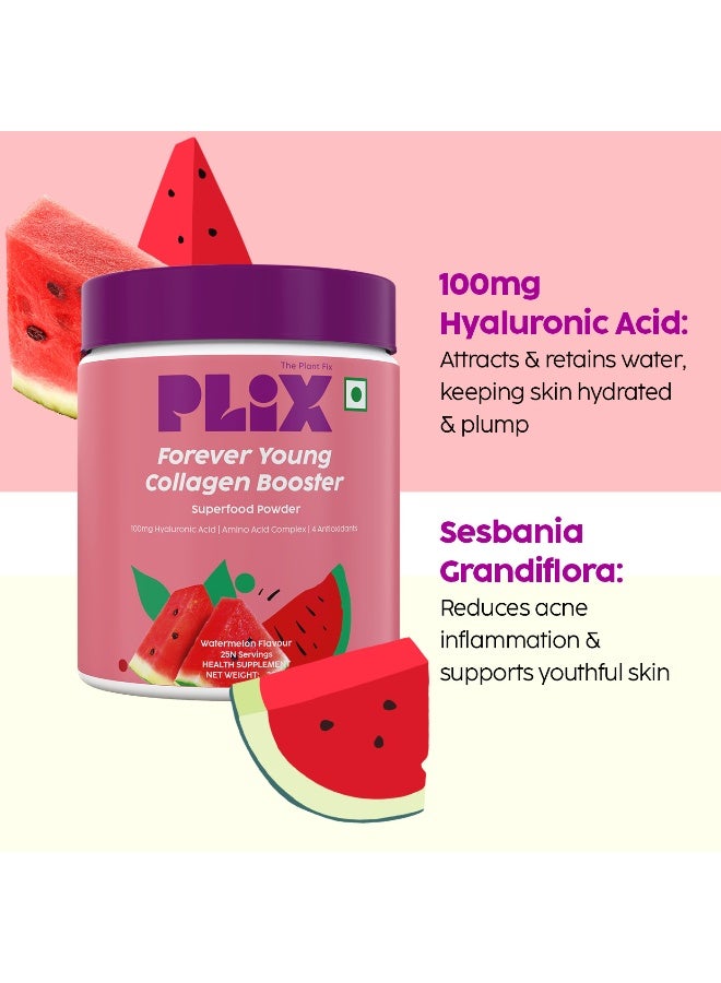 PLIX THE PLANT FIX PLIX- THE PLANT FIX Collagen Booster Powder with 100mg Hyaluronic Acid | Plant-based formula | Vitamin C | No added sugar | Helps support skin health - Image 2
