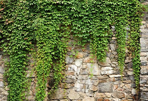 Leyiyi 6x4ft Spring Garden Leaves Backdrop Gardening Plants Grunge Stone Wall Greenery Banner Vane Branch Covered Vintage Architecture Photo Background Wedding Kids Birthday Photo Studio Vinyl Prop - Image 1