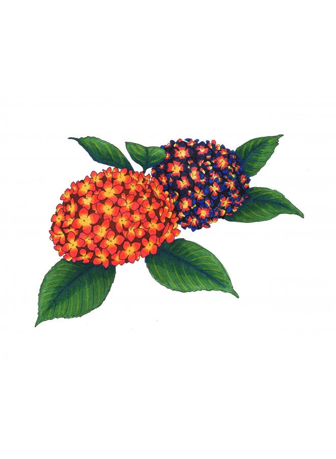 Copic Sketch, Alcohol Markers, 6pc Set, Bold Primaries - Image 2