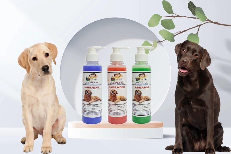 SWACCH Premium Shampoo for Labrador (200ML) (Combo Pack of 3) Lavender, Strawberry & NEEM ALOVERA - Image 2