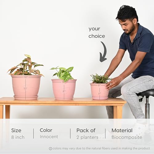 Eha Earth-Friendly 8" Leafy Planters with Tray | Set of 2 | Bamboo Fiber | UV Protected | Drainage Hole | Pots for Indoor, Outdoor, Balcony & Garden | Innocent - Image 2