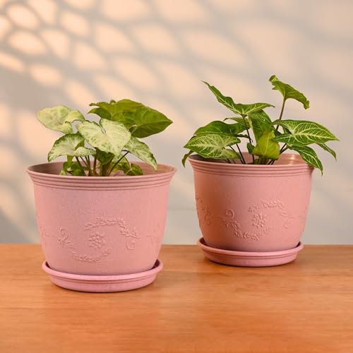 Eha Earth-Friendly 8" Leafy Planters with Tray | Set of 2 | Bamboo Fiber | UV Protected | Drainage Hole | Pots for Indoor, Outdoor, Balcony & Garden | Innocent - Image 1