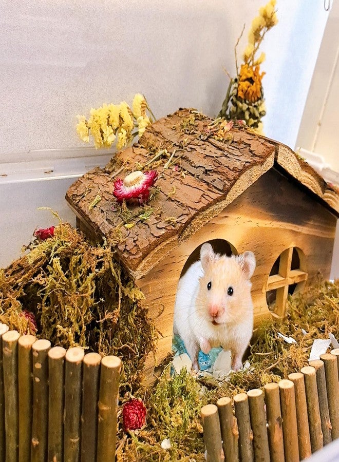 هامليدي مخبأ هامستر هاميليدي، بيت هامستر خشبي وجسر مع نوافذ، ديكورات موائل للفئران والجرذان والجرذان الصغيرة للعب والاختباء - Image 5