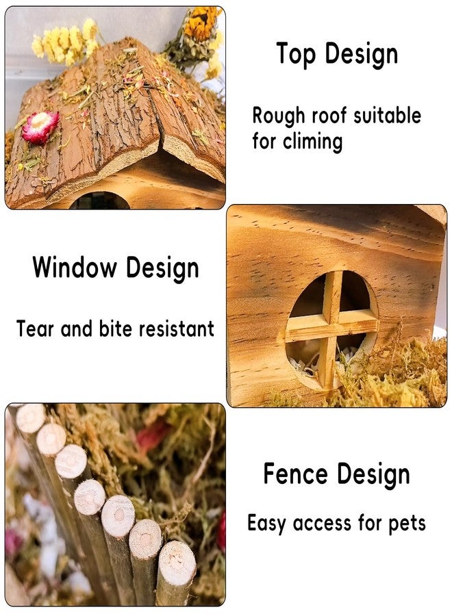 هامليدي مخبأ هامستر هاميليدي، بيت هامستر خشبي وجسر مع نوافذ، ديكورات موائل للفئران والجرذان والجرذان الصغيرة للعب والاختباء - Image 4