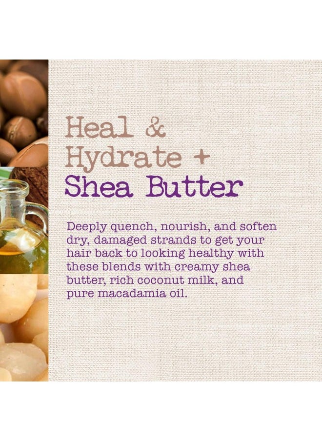 MAUI MOISTURE - Heal & Hydrate + Shea Butter Shampoo To Repair & Deeply Moisturize Tight Curly Hair With Coconut & Macademia Oils Vegan Silicone Paraben & Sulfatefree 13 Fl Oz - Image 1