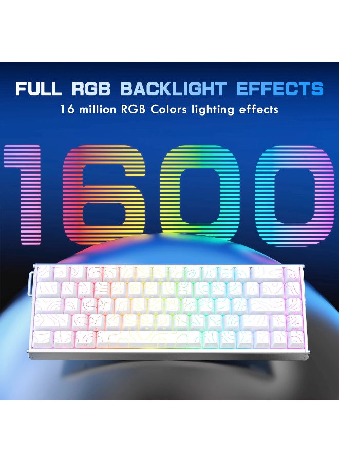 هجوم القرش ATTACK SHARK X68MAX HE Rapid Trigger CNC Aluminum Keyboard Magnetic Switch with C01Ultra RGB Coiled Cable 60% Wired 8KHz CNC Aluminum Magnetic Keyboard With 0.005mm RT Accuracy, Support RT/Snap Tap/DKS/MT/TGL  - White Contour - Image 5