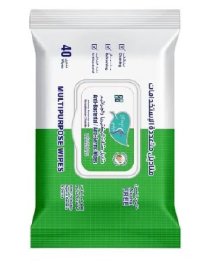 Alarays Anti Bacterial and Anti Germs Wipes 40 wipes  - Image 1