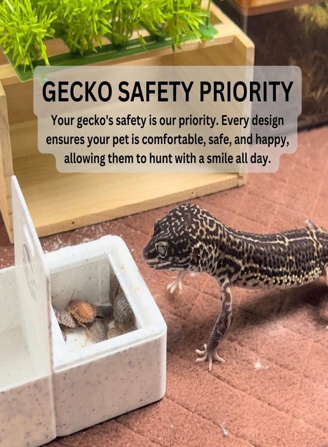 Geckopia Triple Dish 3.0 | 3 in 1 Reptile Bowl | Gecko & Reptile Calcium & Water Food Bowl | Mealworm Dish in BioPlastic | Wood - Image 2