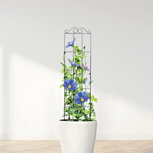 Lavish Craft 30'' Metal Garden Trellis for Climbing Plants (Pack of 4) - Indoor/Outdoor Sturdy Trellis for Potted House Plants, Vines, Black - Image 5