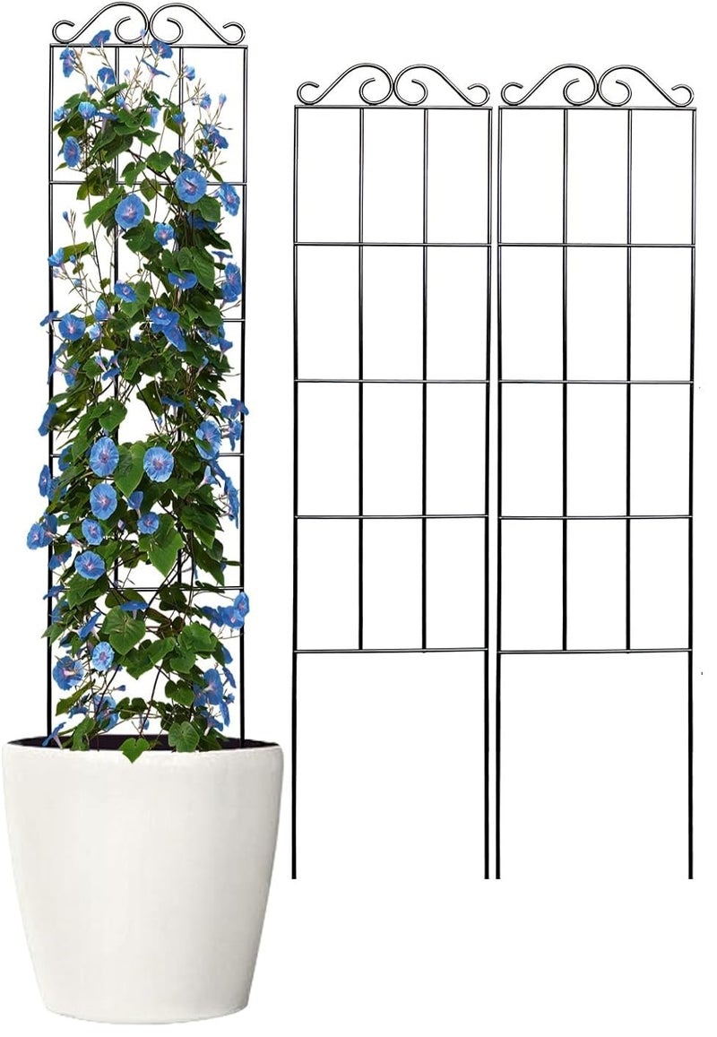 Lavish Craft 30'' Metal Garden Trellis for Climbing Plants (Pack of 4) - Indoor/Outdoor Sturdy Trellis for Potted House Plants, Vines, Black - Image 1