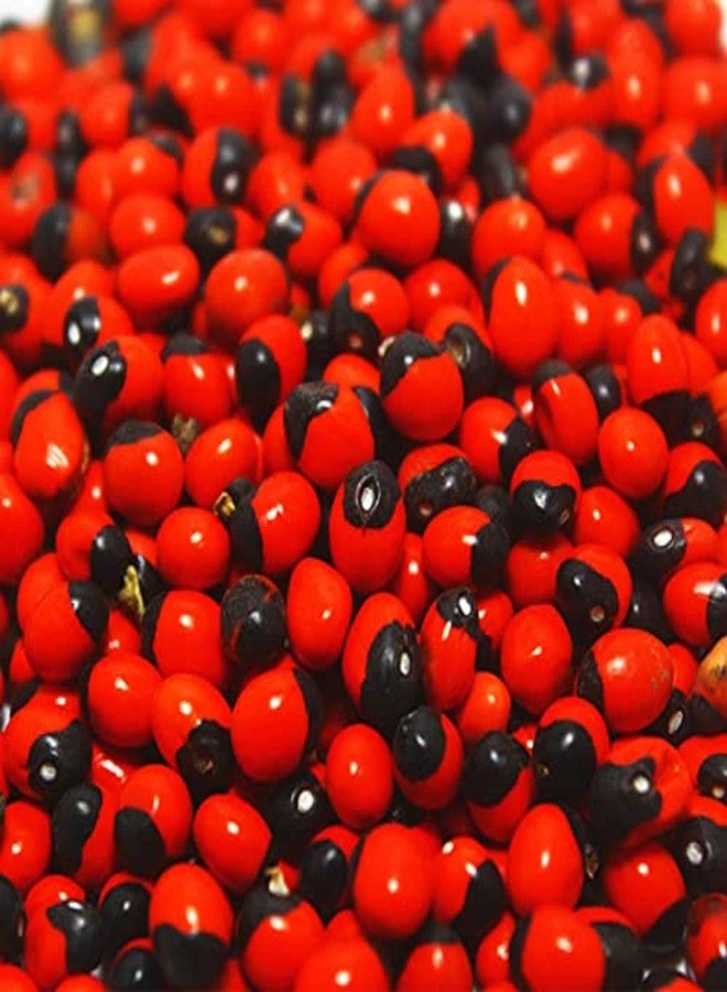 RUKDA® lal chirmi/gunja Beads/chirmi ke Beez/chirmi seads red/gunja/gunjari/gunja beej/gunja ke beej/gunja lal/gunja lal Seeds/chirmi Seeds - 21 pcs - Image 4