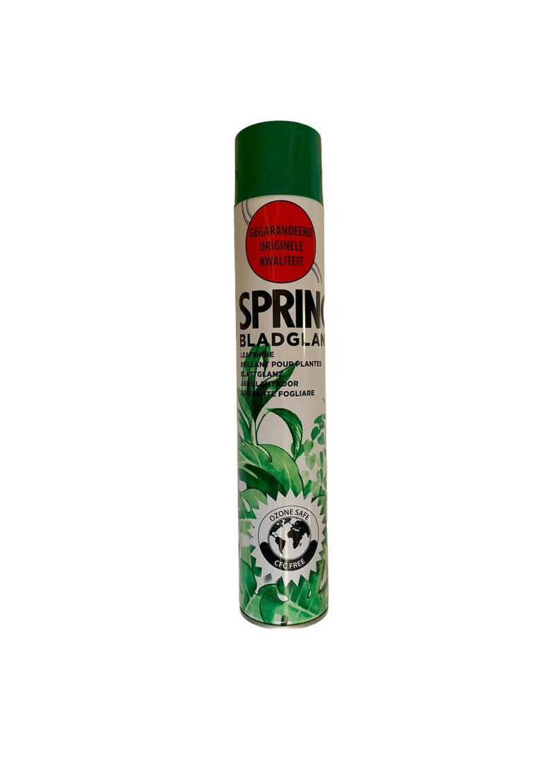SPRING - Leaf Shine For Indoor Plants 750 ml - Image 1