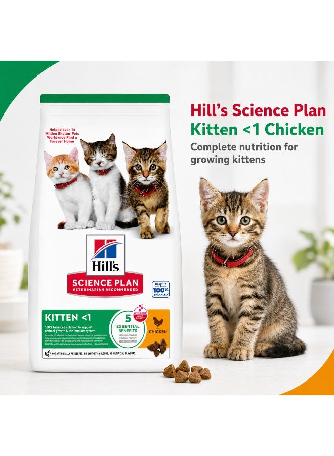 Hills Hill’s Science Plan Kitten Dry Cat Food Chicken 7kg – Complete Nutrition for Kittens with ActivBiome+ Digestive Support & DHA for Brain Development - Image 5