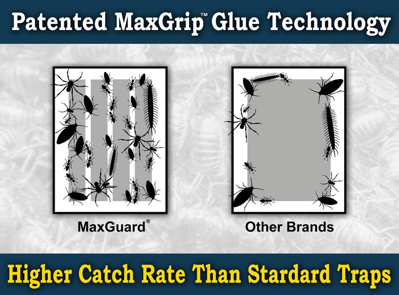 MaxGuard MaxGrip Glue Traps (24 Traps) Non-Toxic Extra Sticky Glue Board Pre-Baited with Fruity Scent Attractant Trap & Kill Insects, Bugs, Spiders, Crickets, Scorpions, Cockroaches, Centipedes, Mice - Image 4