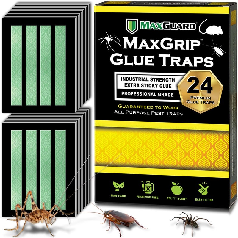 MaxGuard MaxGrip Glue Traps (24 Traps) Non-Toxic Extra Sticky Glue Board Pre-Baited with Fruity Scent Attractant Trap & Kill Insects, Bugs, Spiders, Crickets, Scorpions, Cockroaches, Centipedes, Mice - Image 1