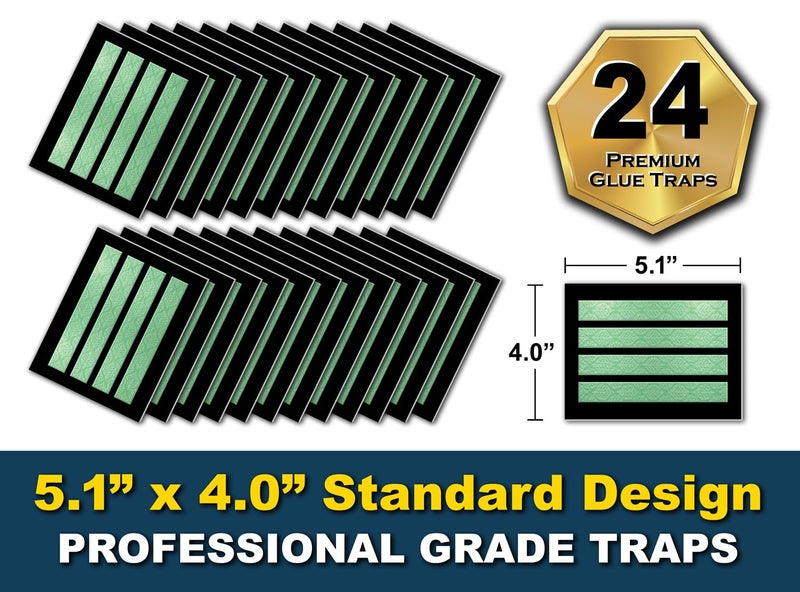 MaxGuard MaxGrip Glue Traps (24 Traps) Non-Toxic Extra Sticky Glue Board Pre-Baited with Fruity Scent Attractant Trap & Kill Insects, Bugs, Spiders, Crickets, Scorpions, Cockroaches, Centipedes, Mice - Image 3