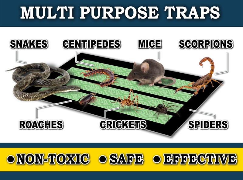 MaxGuard MaxGrip Glue Traps (24 Traps) Non-Toxic Extra Sticky Glue Board Pre-Baited with Fruity Scent Attractant Trap & Kill Insects, Bugs, Spiders, Crickets, Scorpions, Cockroaches, Centipedes, Mice - Image 5