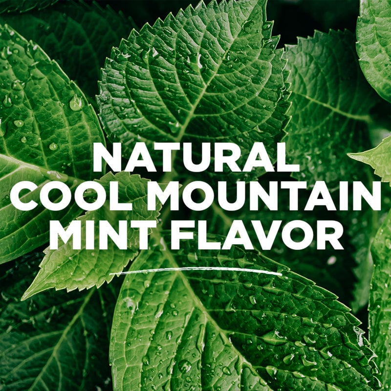 Tom's of Maine Natural Wicked Fresh Alcohol-Free Mouthwash, Cool Mountain Mint, 16 oz. 6-Pack (Packaging May Vary) - Image 5