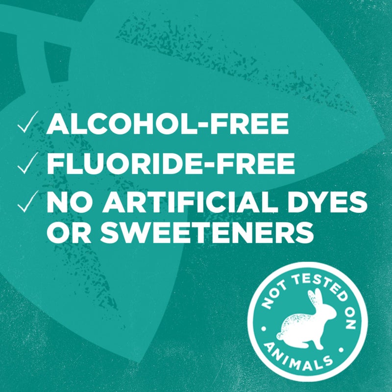 Tom's of Maine Natural Wicked Fresh Alcohol-Free Mouthwash, Cool Mountain Mint, 16 oz. 6-Pack (Packaging May Vary) - Image 4