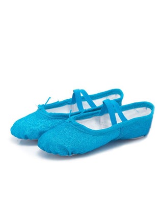 Girls'  Stage Performance Dance Shoes Performance Ballet Shoes Dance Shoes Blue - pzsku/Z5165D1E5B51F1395CE70Z/45/_/1690100112/8b292754-cf55-4c9b-b902-4ae245d69e5a