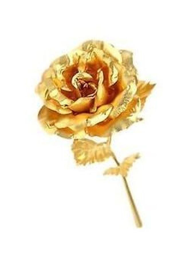 Loquat 24K Gold Plated Foil Rose Gold 25x8cm - Image 3