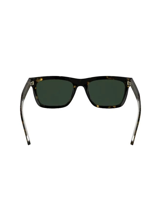 CALVIN KLEIN Round Sunglasses