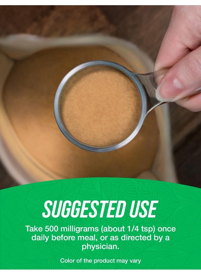 بالك سابلمنتس مسحوق مستخلص هوديا من BulkSupplements.com - مكمل هوديا، مستخلص هوديا جوردوني - مكمل عشبي، نباتي وخالي من الجلوتين، 500 مجم لكل وجبة، 250 جم (8.8 أونصة) (عبوة واحدة)  - Image 4