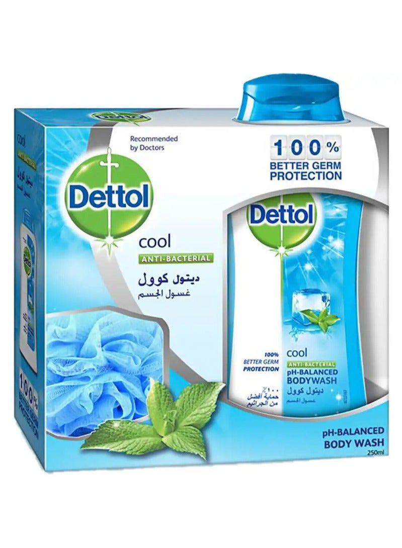 Dettol Shower Gel Cool 250 ml With Loofah