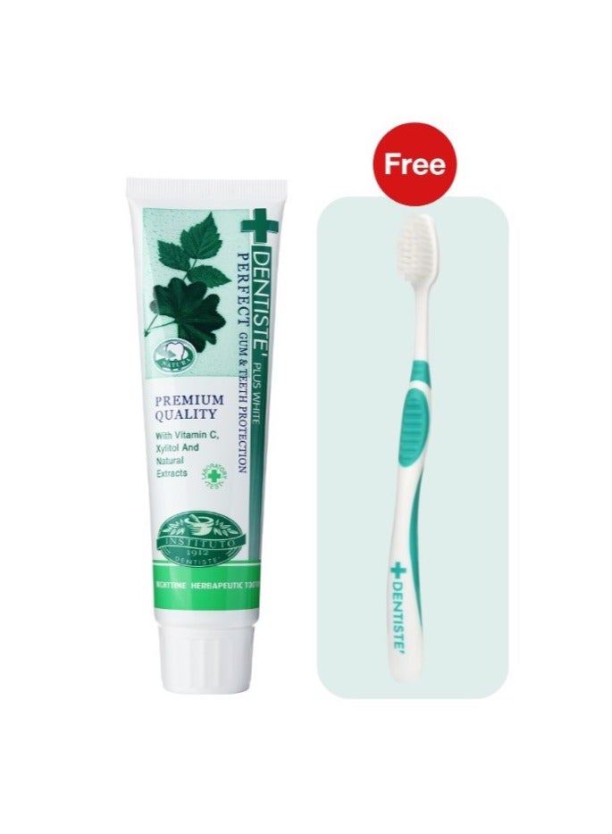 Dentiste Plus White Nighttime Toothpaste Perfect Gum & Teeth Protection with Vitamin C & Xylitol, 100g - Free Toothbrush - Image 1
