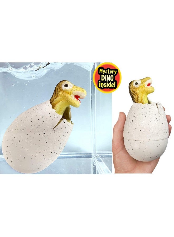 JA-RU Giant Dinosaur Eggs Water Growing Toys (6 Eggs) Animals That Grow in Water for Kids. Dinosaur Goodie Bags, Science Party Favors, Classroom Treasure Box Prizes. 1747-6p - Image 3
